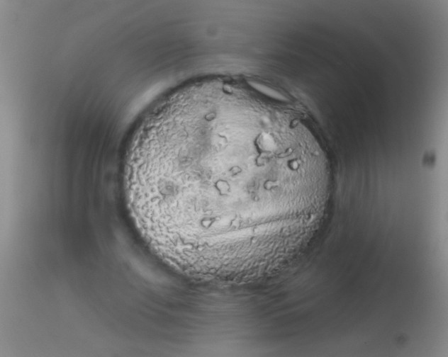 X0000113960679200910162004