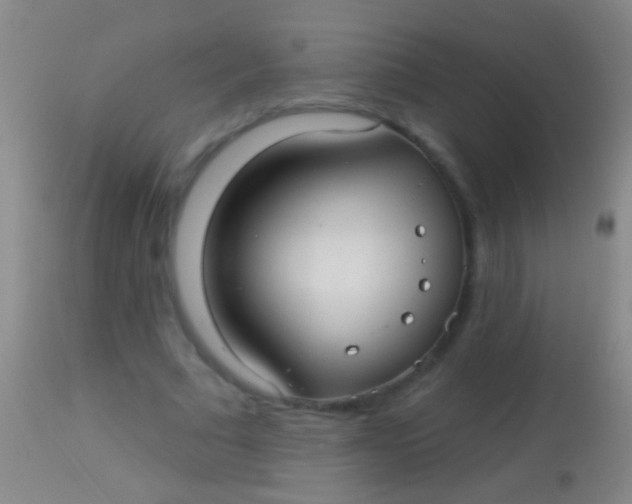 X0000113960681200910162004