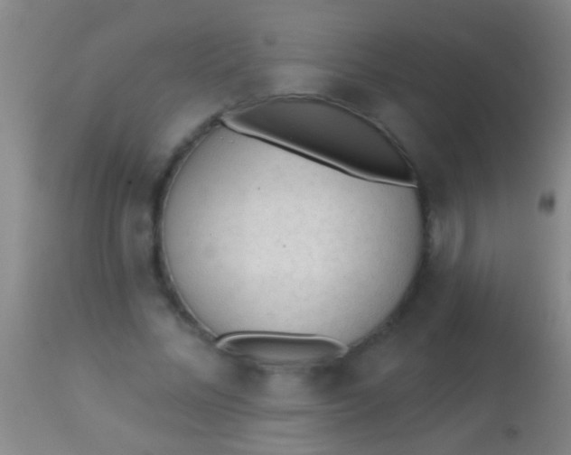 X0000113960684200910162004