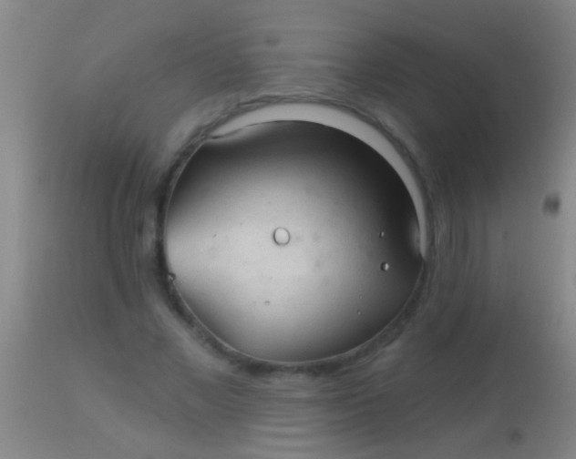 X0000113960685200910162004