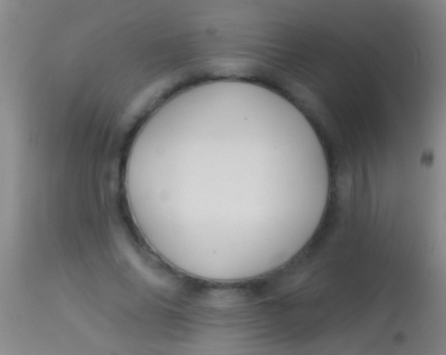 X0000113960686200910162004