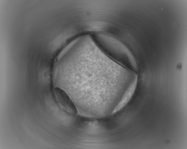 X0000113960688200910162004