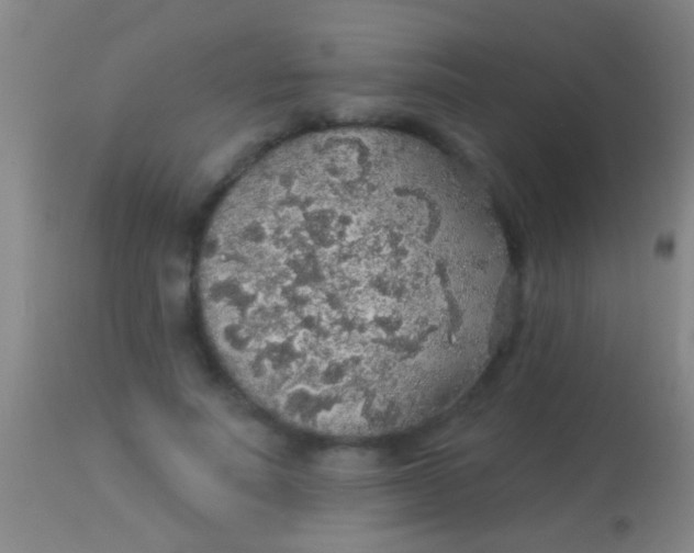 X0000113960691200910162004