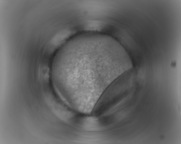 X0000113960692200910162004