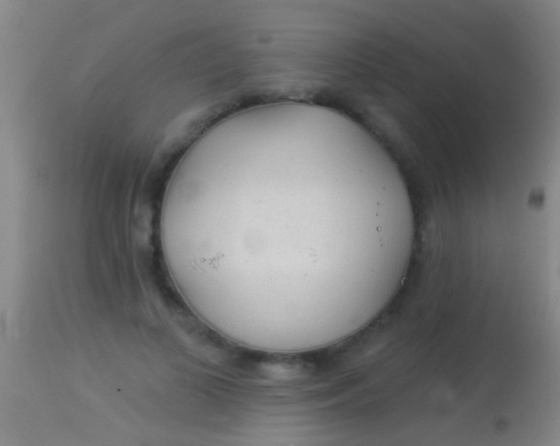 X0000113960693200910162004