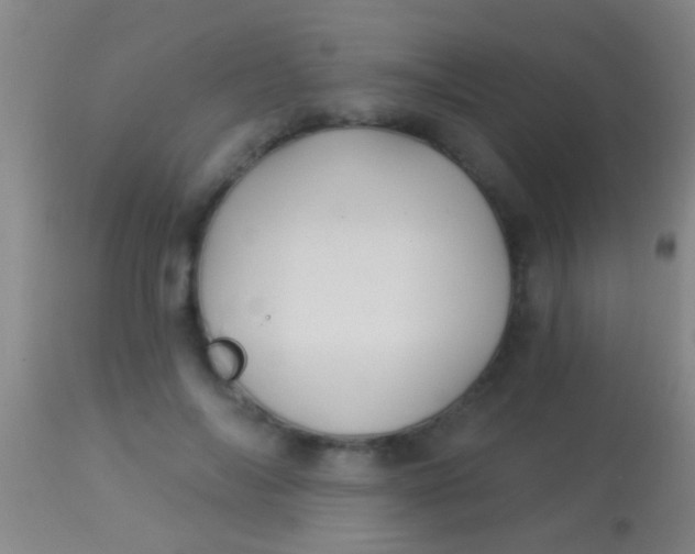 X0000113960694200910162004