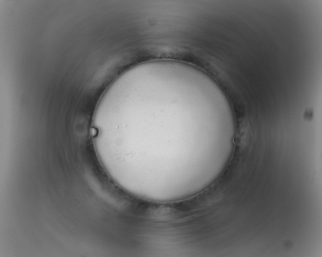 X0000113960695200910162004