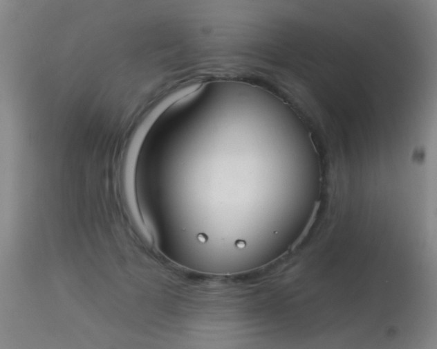 X0000113960697200910162004