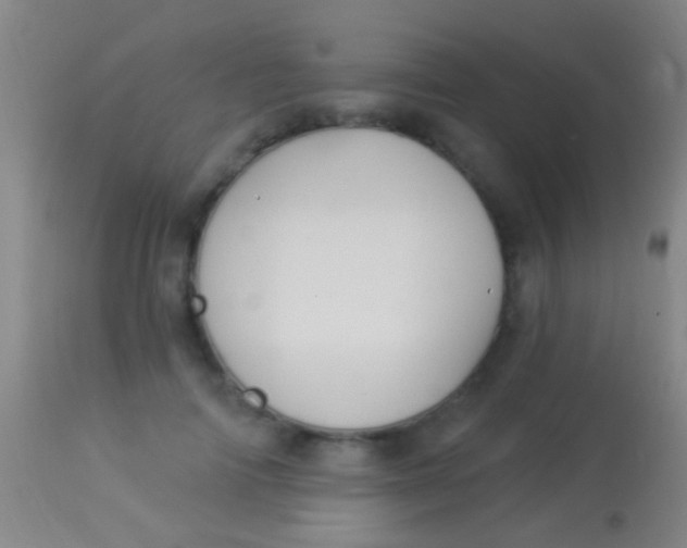 X0000113960698200910162004