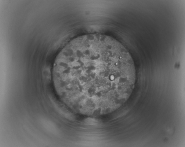 X0000113960699200910162004