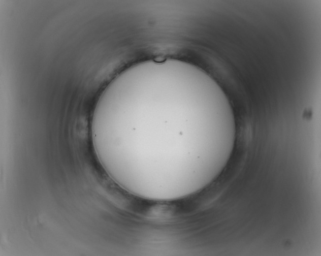 X0000113960700200910162004