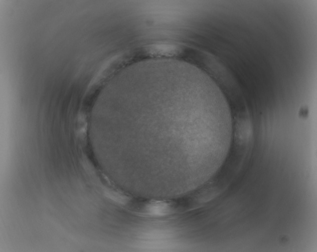 X0000113960701200910162004