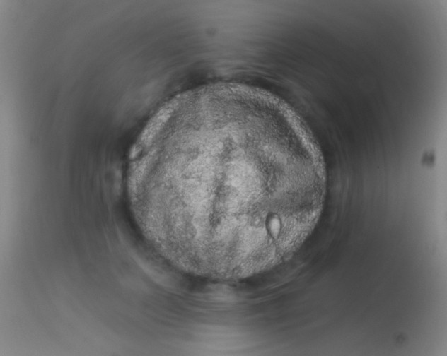 X0000113960703200910162004