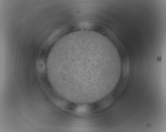 X0000113960705200910162004