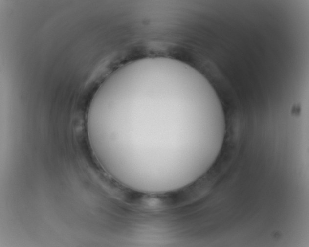 X0000113960706200910162004