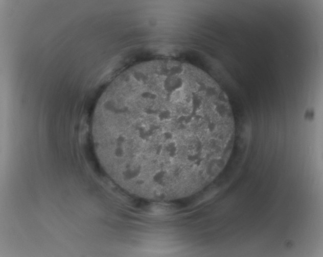 X0000113960707200910162004