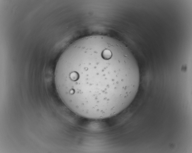 X0000113960708200910162004