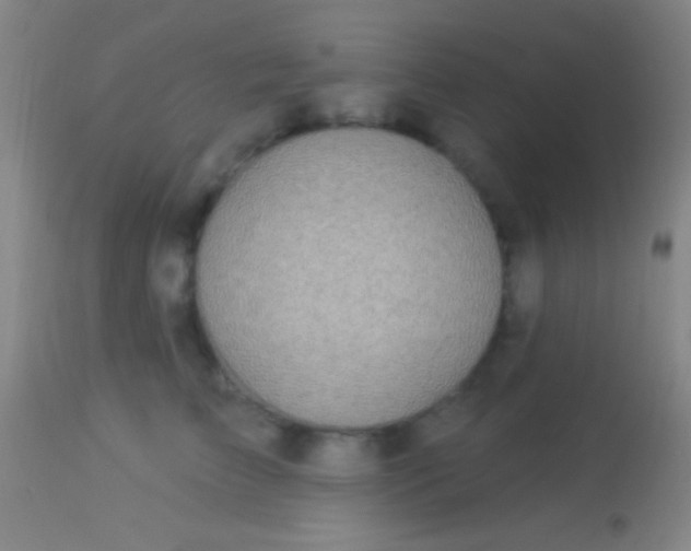 X0000113960709200910162004