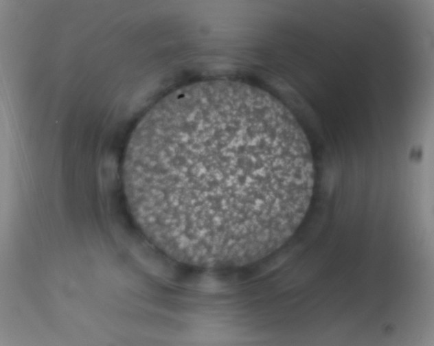 X0000113960711200910162003