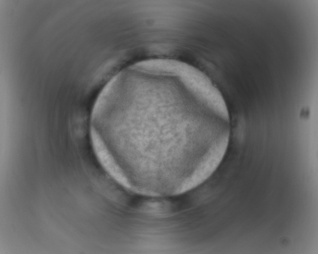 X0000113960712200910162003