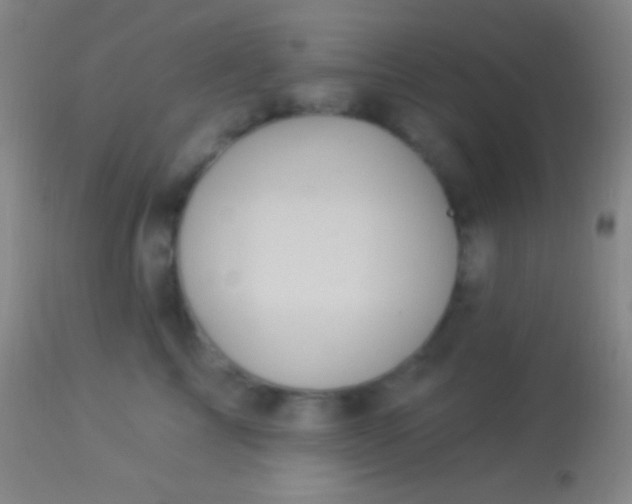 X0000113960713200910162003