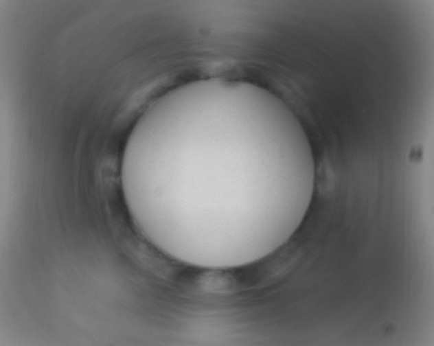 X0000113960714200910162003