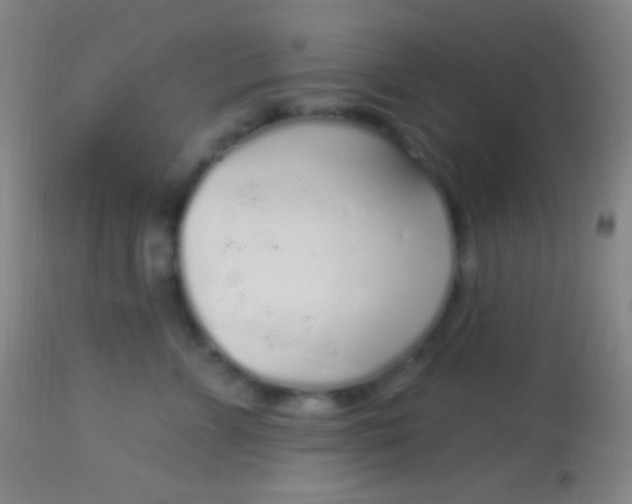 X0000113960715200910162003