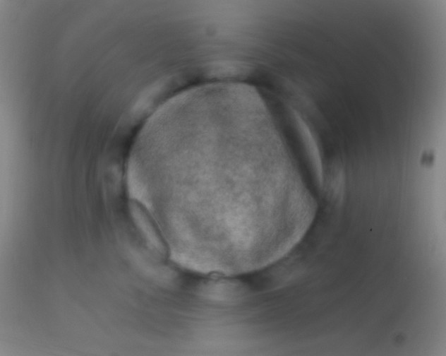 X0000113960716200910162003