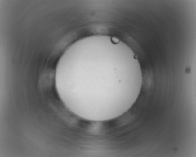 X0000113960717200910162003