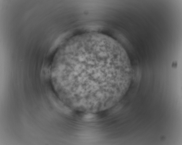 X0000113960718200910162003