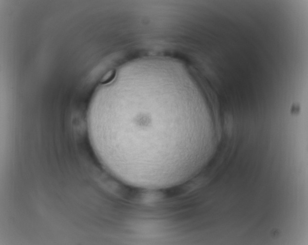 X0000113960719200910162003