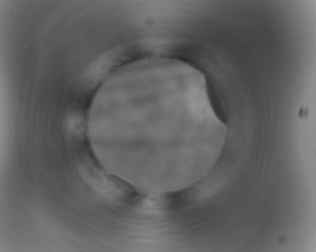 X0000113960720200910162003