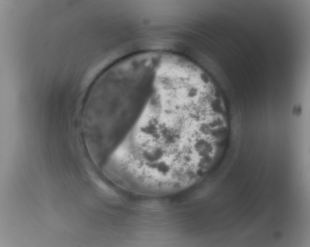 X0000113960721200910162003