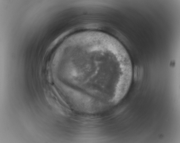 X0000113960723200910162003