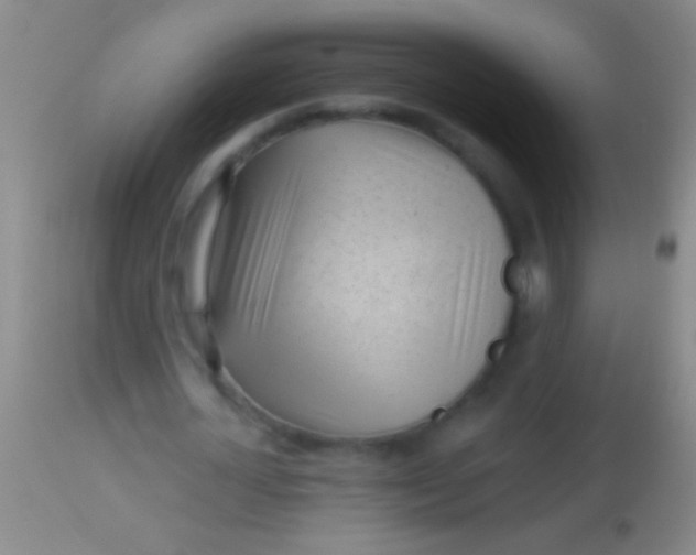 X0000113960724200910162003