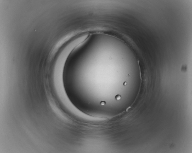 X0000113960726200910162003