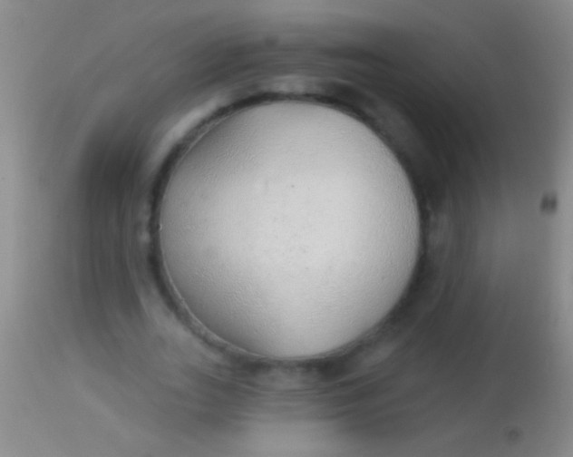 X0000113960727200910162003