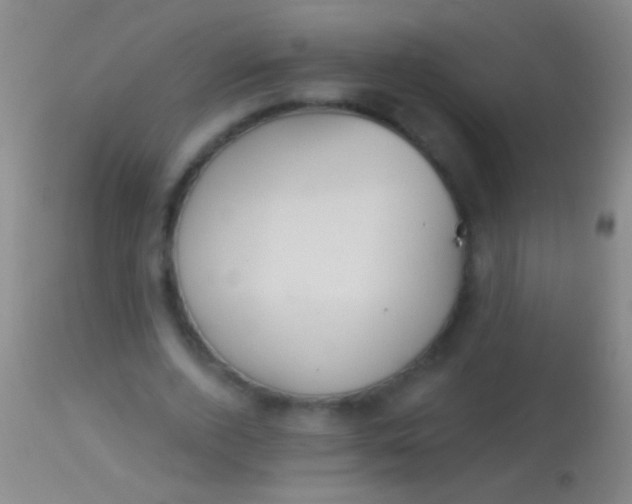 X0000113960728200910162003