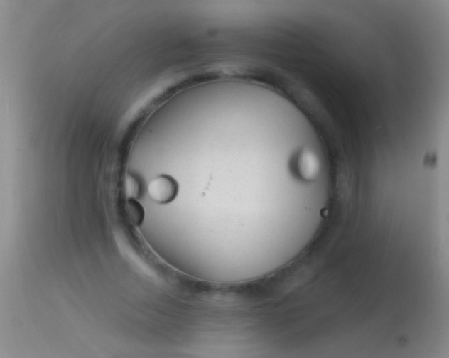 X0000113960730200910162003