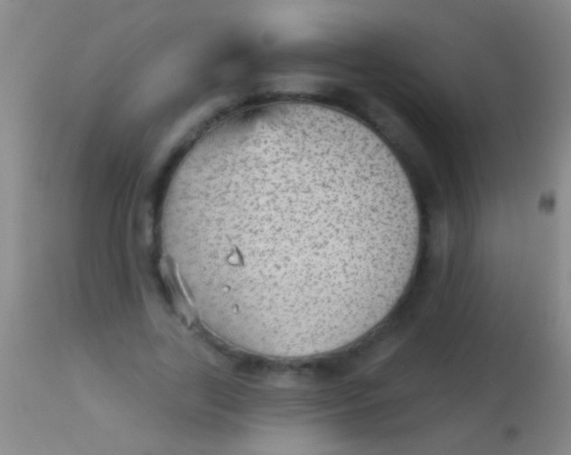 X0000113960731200910162003