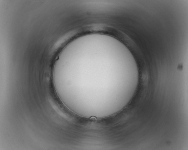 X0000113960732200910162003