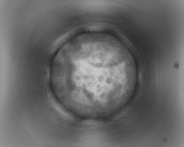 X0000113960733200910162003