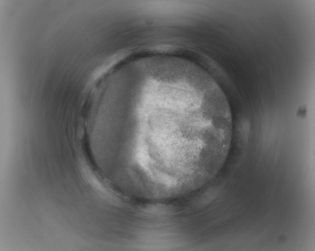 X0000113960734200910162003