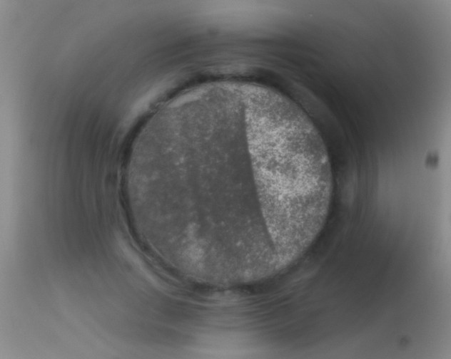 X0000113960735200910162003