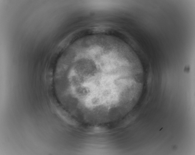 X0000113960737200910162003