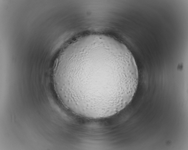 X0000113960738200910162003