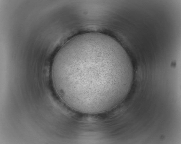 X0000113960739200910162003