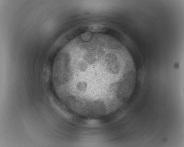 X0000113960741200910162003