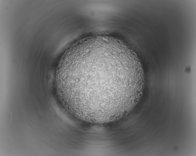 X0000113960742200910162003