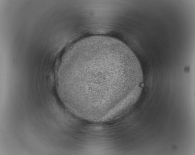 X0000113960743200910162003